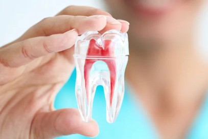 Dịch vụ nha khoa trám răng lấy tủy